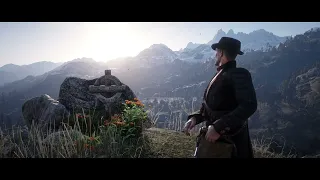 100% Completion in Red Dead Redemption 2