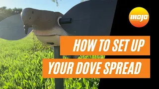 How To Set Up Your Dove Spread