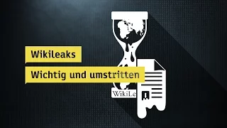 Aktuelle Situation von Wikileaks - heuteplus | ZDF