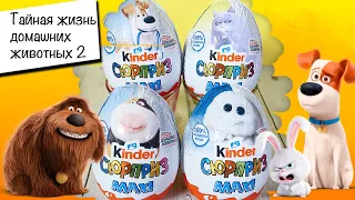 Киндер MAXI 🐶 PETS 2 | 🐈 Тайная Жизнь домашних животных 2 |  НОВИНКА 2019 | Kinder Surprise