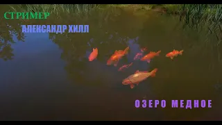 СТРИМ РР4. МЕДНОЕ ОЗЕРО ЛОВЛЯ КАРПА. #shorts #russianfishing4 #русскаярыбалка4 #трофей #рр4