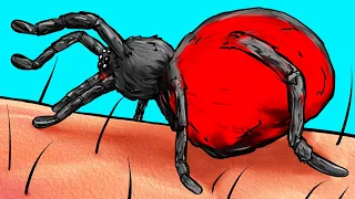 Was passiert, wenn dich eine Spinne beißt