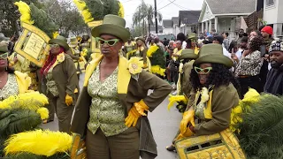 New Orleans Second Line | Lady & Men Buck Jumpers 2023