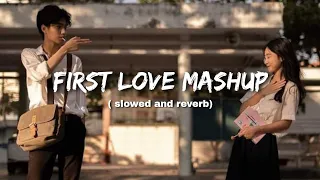 First Love Lofi Mashup💞Slowed & Reverb❤️ Arijit Singh Love Mashup 😍 Heart Touching Songs #lofi#love