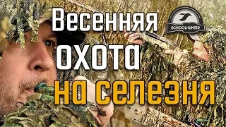 Охота на утку, весна. Живой формат.