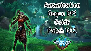 Quick Assassination Rogue DPS Guide | Season 3 Dragonflight