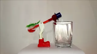 Drinking bird 10 hours