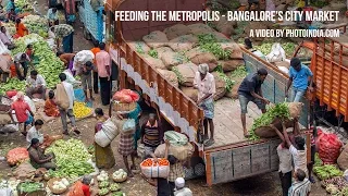 Feeding a Metropolis - Bangalore's City Market