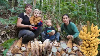 Harvesting wild bamboo shoots, ripe bananas to sell at the market, farm life