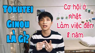 TOKUTEI GINOU LÀ GÌ? Cơ Hội Nào Cho Thực Tập Sinh Sau Khi Hết 3 Năm Làm Việc Ở Nhật??