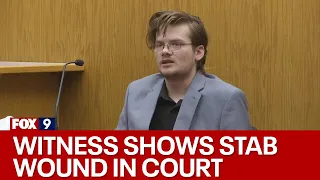 Apple River stabbing trial: Dante Carlson testifies [FULL]
