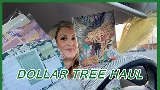 Dollar Tree haul #dollartreehaul #dollartree