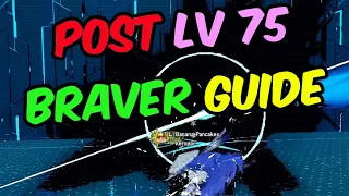 [PSO2:NGS] NGS Ver.2 Updated Braver Guide (Lv 75)