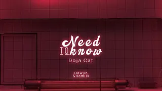 • Vietsub/Lyrics • Doja Cat 'Need To Know' | Hawyn & Hamilk