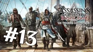 Прохождение Assassin's Creed IV Black Flag #13
