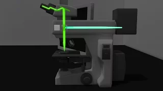 Fluorescence Microscopy Animation