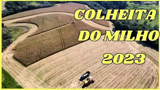 Colheita do Milho no Paraná