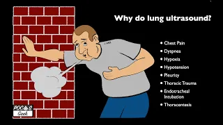 POCUS: Lung Ultrasound - Basic Anatomy and Lung sliding - Updated - 2nd Edition