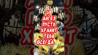 С Вербным Воскресеньем тебя 🕊️