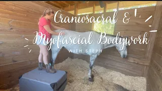 Equine Craniosacral Therapy & Myofascial Release | Stephanie Chan