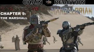 #Starwars Fans react to The Mandalorian S2-Chapter:9 The Marshall (Chain-Reaction)