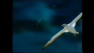 Air New Zealand TV Commercial (Australia, 1996)