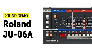 Roland JU-06A Sound Demo (No Talking)