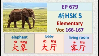 [EP 679] New HSK 5 Voc 166-168 (Intermediate): 大厅、大象、盲人摸象 || 新汉语水平3.0中级词汇5 || Join My Daily Live