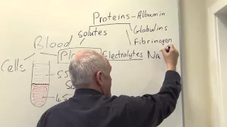 Plasma, constituents and functions