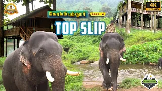 யானைகள் செய்யும் சேட்டைகள்😍 | Topslip Tree house | Complete Guide