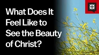 What Does It Feel Like to See the Beauty of Christ?