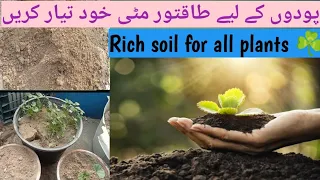 How to prepare Healthy soil For All Plants| Making the best and universal potting soil for  Plants.
