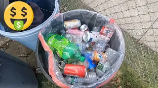 Sorting Bottles for Money