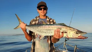 Spanish Mackerel fishing, trolling with Wolf Herring off Townsville