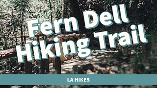 Fern Dell Nature Trail / Los Angeles Hiking Trails