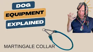 Choosing the Right Collar: The Martingale Collar for Dog Safety and Comfort