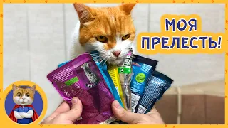 Самый лучший и самый худший корм для кошек ! Тестируем на котах 7 видов корма. Честный обзор