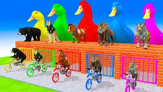 5 Giant Duck, Monkey, Piglet, chicken, dog, elephant, tiger, lion Transfiguration funny animal 2023