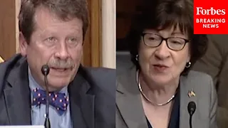 ‘Why Wasn’t There Better Communication?’: Susan Collins Grills Califf On Baby Formula Shortage