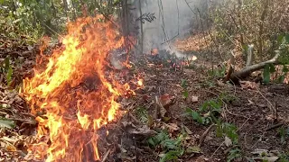 Llega a la entidad un helicóptero de la Secretaría De Marina: incendios