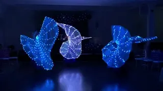 LED Isis Wings Bellydance - Making the Darkest Night Glorious