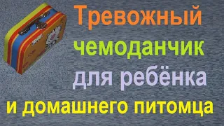 Содержимое тревожного чемоданчика для ребёнка и для домашнего животного.