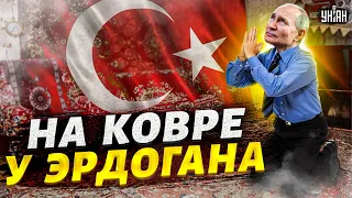 Путин на ковре у Эрдогана. Турция спасает Россию? Оценка Шейтельмана