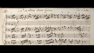 VIVALDI | Concerto con Violino senza Cantin | RV 243 in D minor | Original manuscript