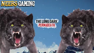 We're Cold, Hungry and The Wolves are Hunting Us - The Long Dark PERMADEATH