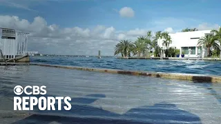 Rising Tide: Priced Out In Miami | Full Documentary