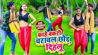 Live Dance | #काहे बकरी चरावल छोड़ दिहलू | #shivya Annad Kdp का डांस वीडियो | Bhojpuri Dhobi Geet