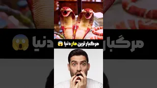 سمی ترین مار دنیا 😱 دانستنی های جالب در مورد مار ها