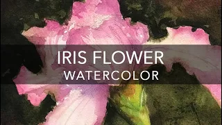 IRIS FLOWER