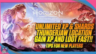 UNLIMITED XP FARM | HORIZON FORBIDDEN WEST | TIPS AND TRICKS | LEVEL UP FAST!!